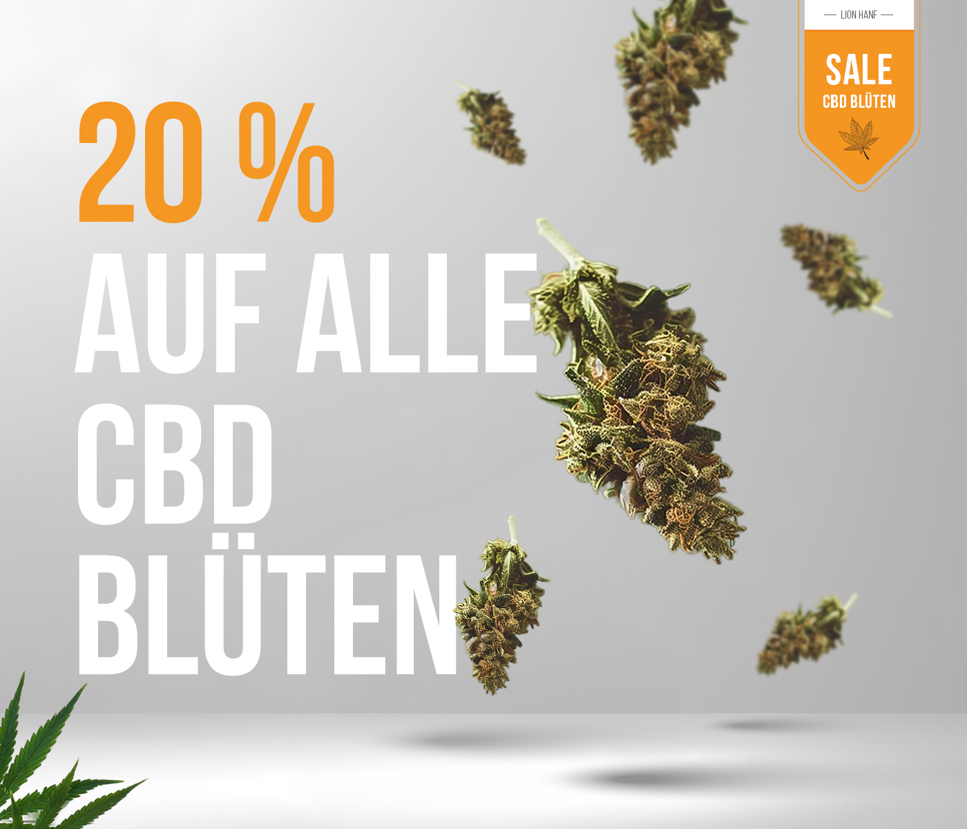 Aktion: 20 % auf alle Cannabis Samen